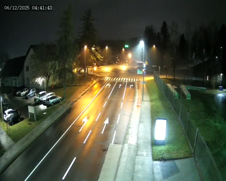 Novo mesto, Ločenski most